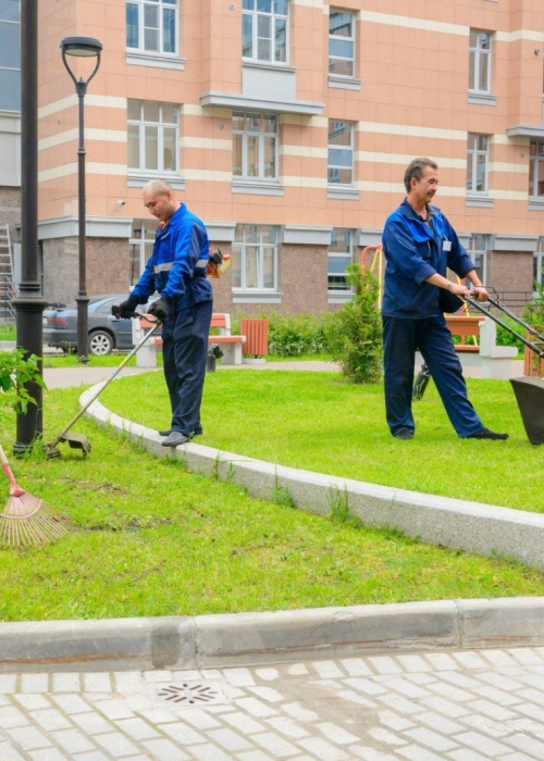 Благоустройство и содержание придомовой территории